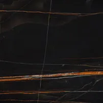 Sahara Noir