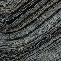 Black Wood
