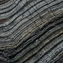 Black Wood