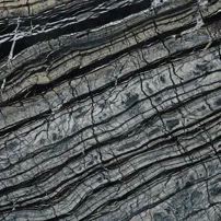 Black Wood