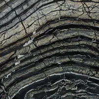 Black Wood