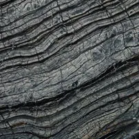 Black Wood