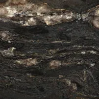 Black Cosmic