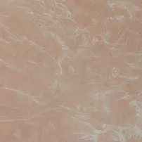 Coral Pink