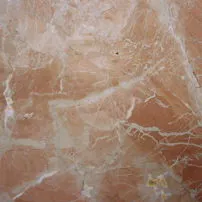 Coralito