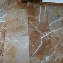 Coralito