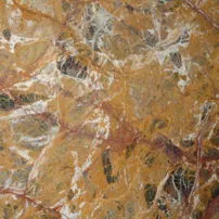 Breche meduse