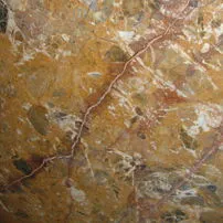Breche meduse