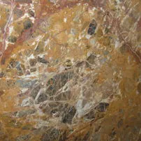 Breche meduse