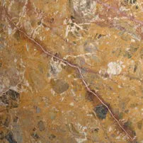 Breche meduse