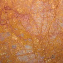Breche meduse