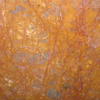 Breche meduse