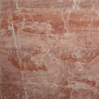 Arancio di selva