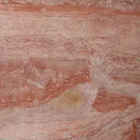 Arancio di selva