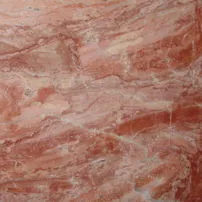 Arancio di selva