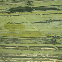 Verde Bamboo