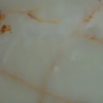 Cream White Onyx