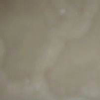 Cream White Onyx