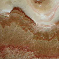Onice miele-red