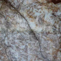 Onyx Carpet