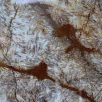 Onyx Carpet