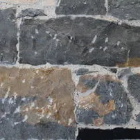 Cross-section of Piasentina