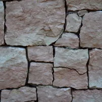 Alpine Rose Cross-section
