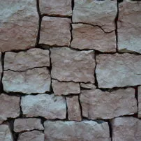 Alpine Rose Cross-section