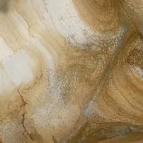 Palomino