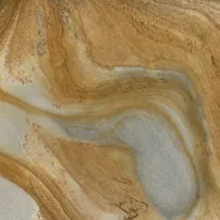 Palomino