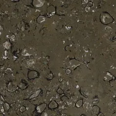 Lipica Fiorito Marble