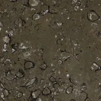 Lipica Fiorito Marble