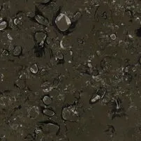 Lipica Fiorito Marble