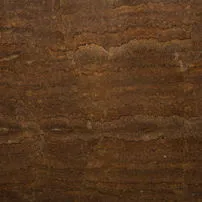 Stromatolite