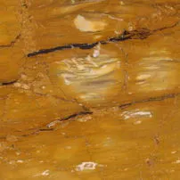 Siena Yellow