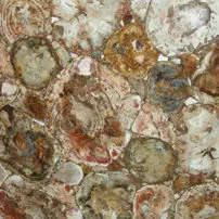 Legno fossile