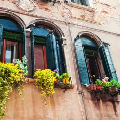 Facades of buildings<br>