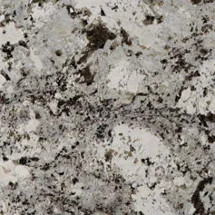 Alaska White