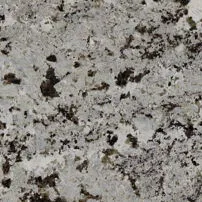 Alaska White