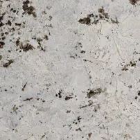 Alaska White