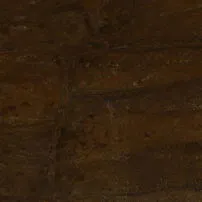 Bronzite
