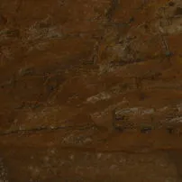 Bronzite