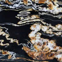 Black Fusion