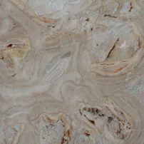 Breccia Pontificia