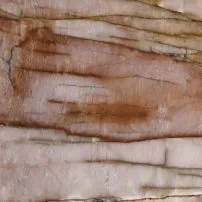 Rosso Cosmopolita