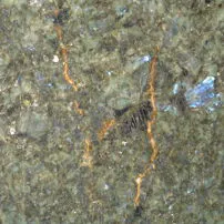 Southern Blue Labradorite