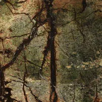 Forest green