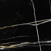 Sahara Noir