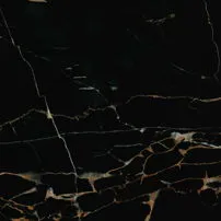 Black Portoro gold vein