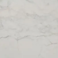 Calacatta di Carrara